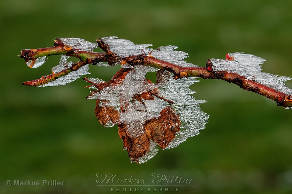 2014.11.30 112934 Auerberg EIS Makro 1920